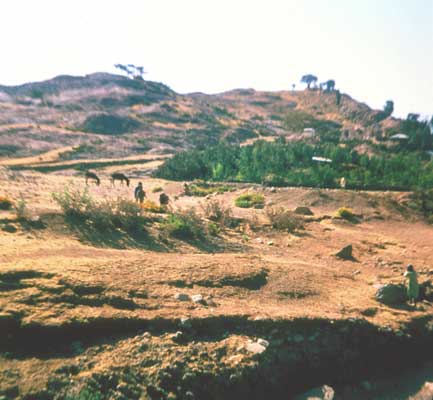 Типичный ландшафт в западной части Эфиопского нагорья.