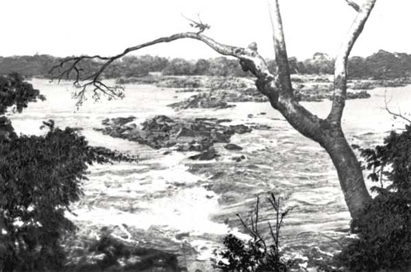Река Уэле близ Бамбили.
