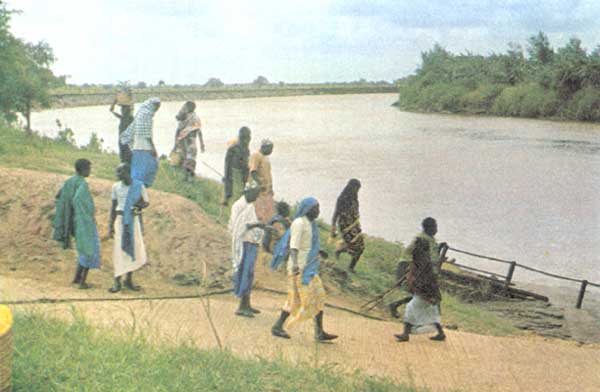 Река Гамбия.