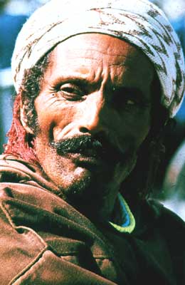Марокканец.
