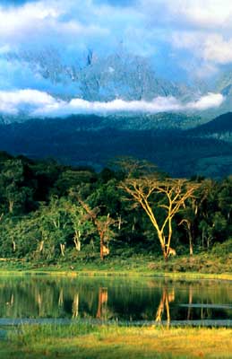 Национальный парк Нгурдото.
