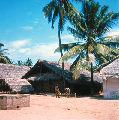 Деревня в Малави.