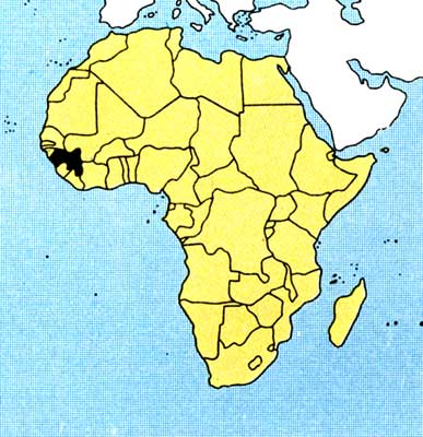 Территория Гвинеи.