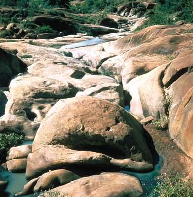 Река Кванго в сухой сезон.