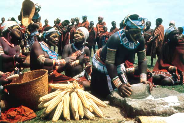 Занятие юар. Традиционные занятия народов Африки. Племя коса в Африке. Африканские традиционные занятия. Народ коса ЮАР.