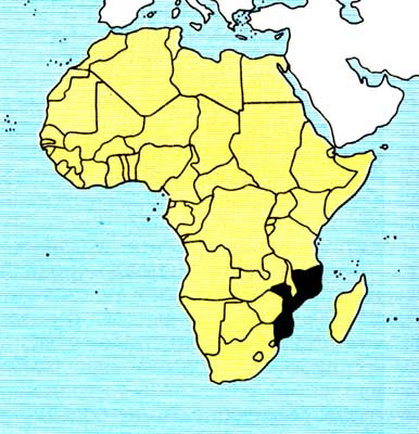 Территория Мозамбика.