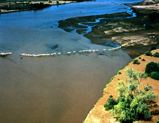 Река Тана.