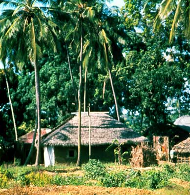 Деревня на острове Пемба.