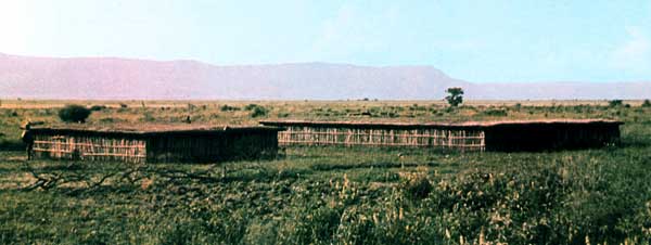 Жилые дома «тембе» в Северной Танзании.