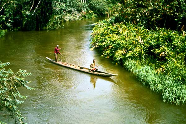 Река Убанги.