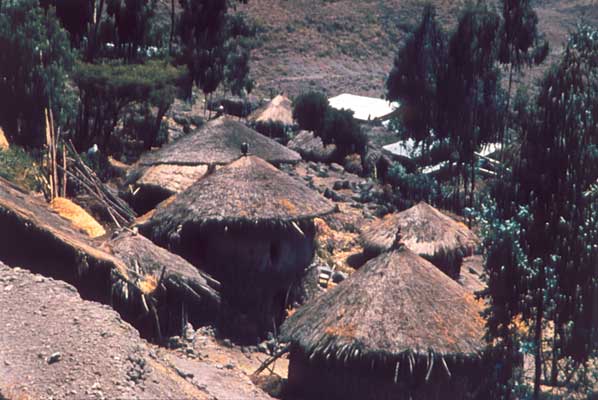 Деревня в районе Лалибэлы.